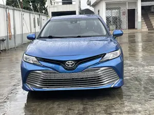 Toyota Camry LE (2.5L 4cyl 8A) 2019 Blue