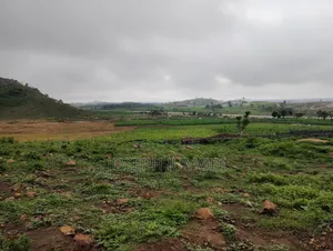 Estate Plot