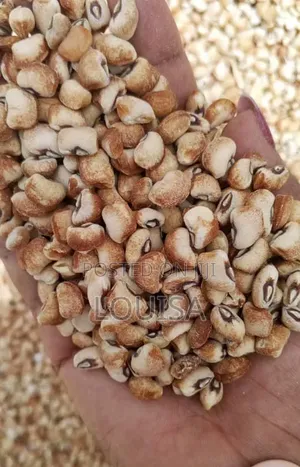 Honey Beans