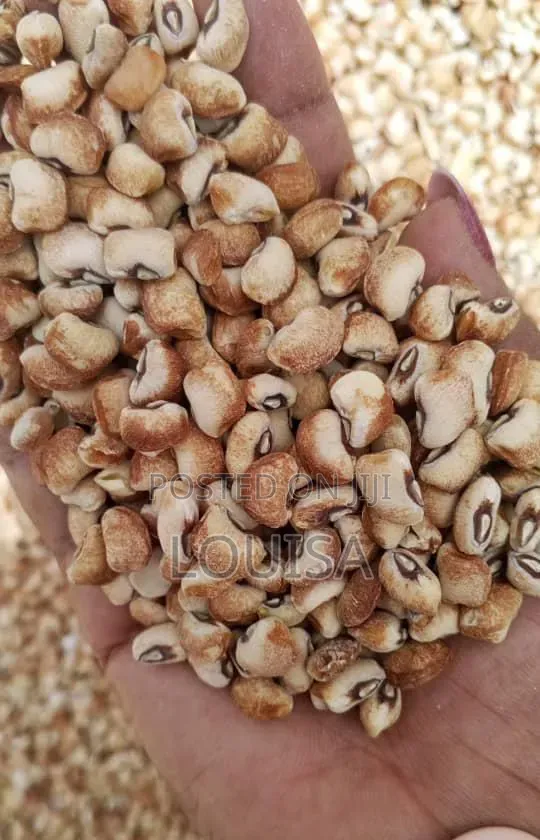 Honey Beans