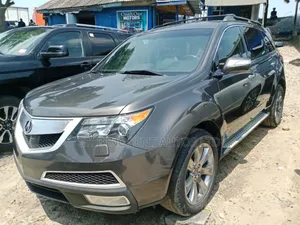 Acura MDX 2010 Gray