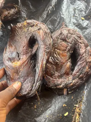Affordable Fish