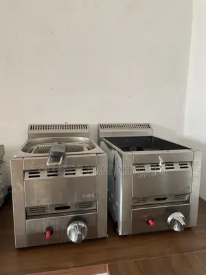 Industrial Griller and Deep Fryer