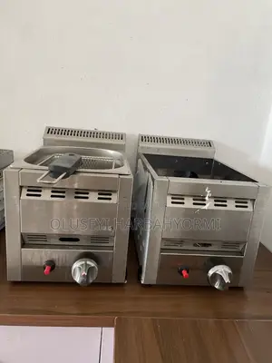 Industrial Griller and Deep Fryer