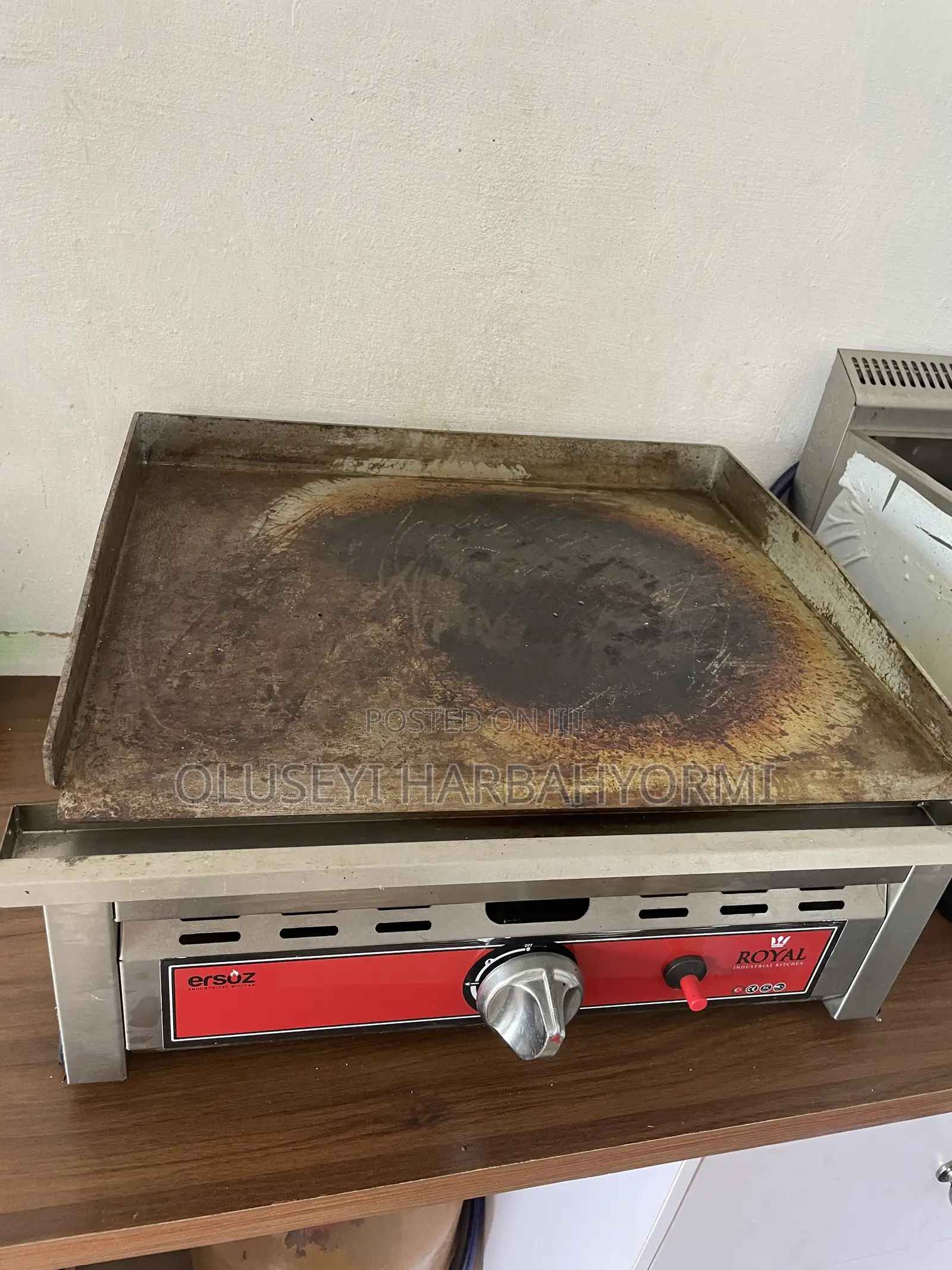 Industrial Griller and Deep Fryer