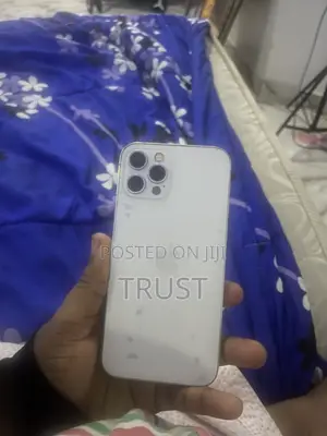 Apple iPhone 12 Pro 256 GB Silver