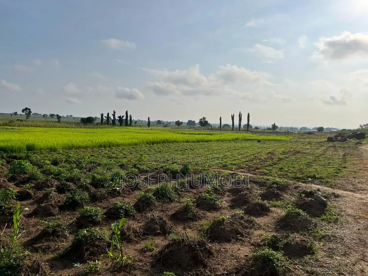 Residential Plot