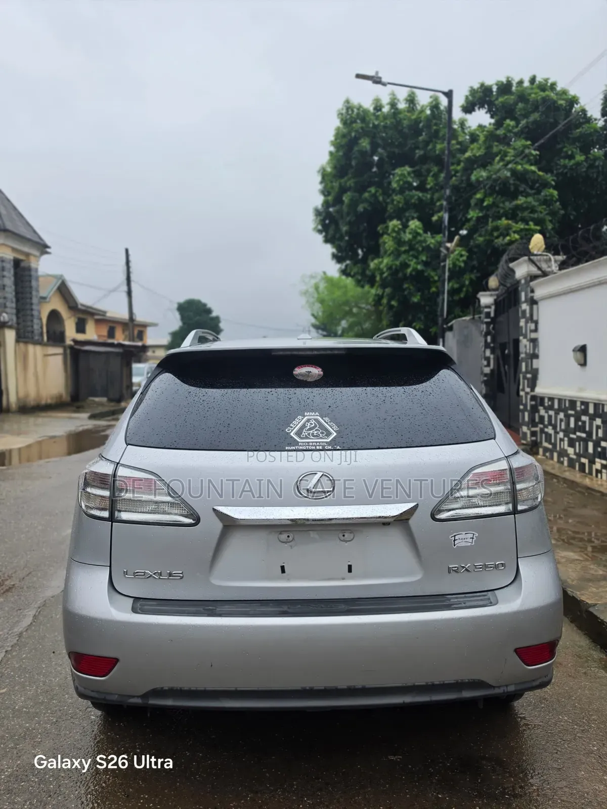 Lexus RX 2010 Silver