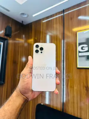 Apple iPhone 12 Pro Max 128 GB