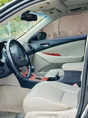 Lexus ES 350 2009 Gray