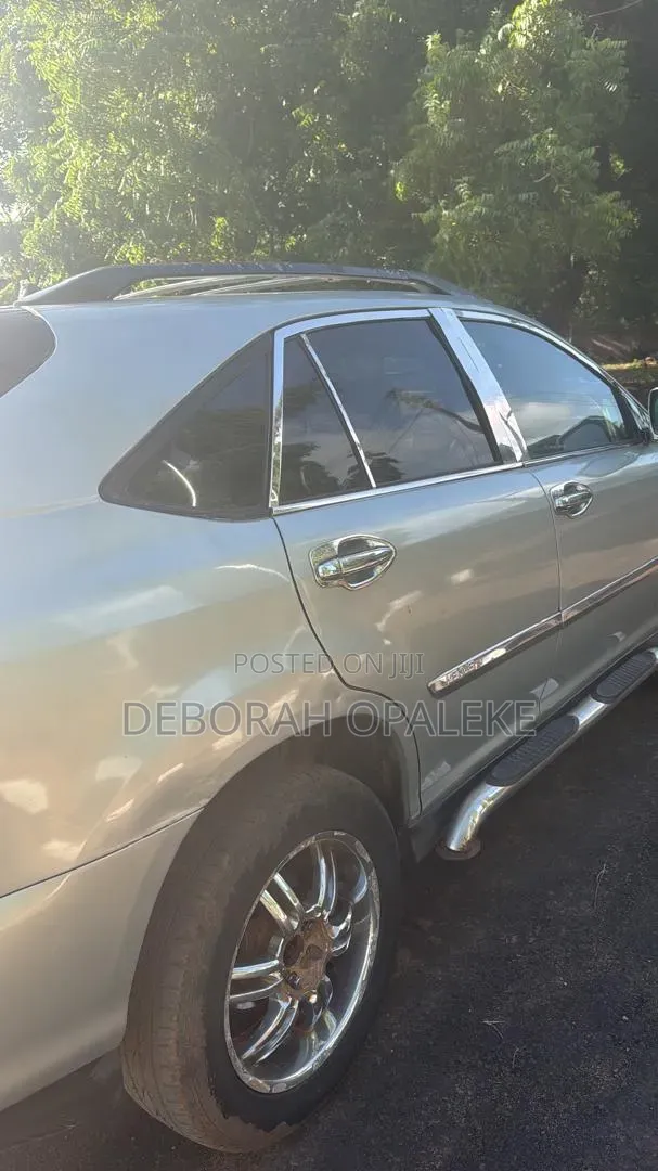 Lexus RX 2007 Silver