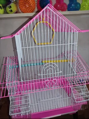 Bird Cage Bird