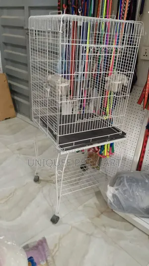 Bird Cage Bird