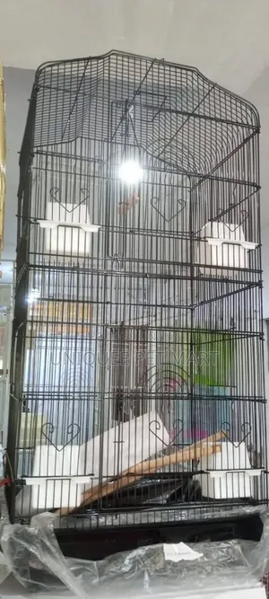 Bird Cage Bird