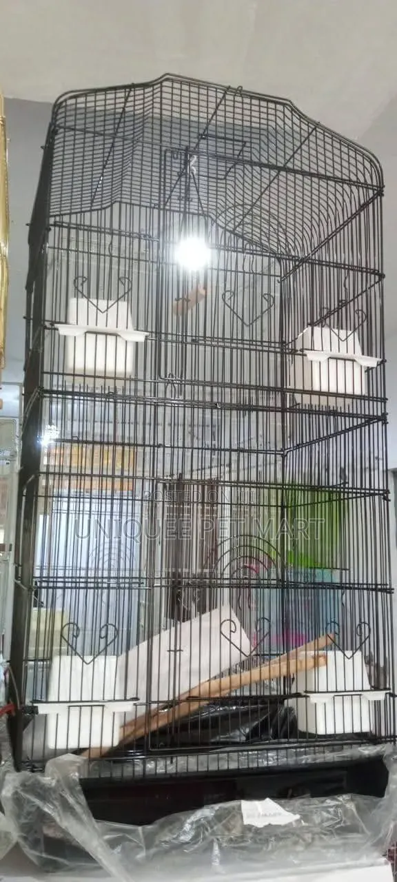 Bird Cage Bird