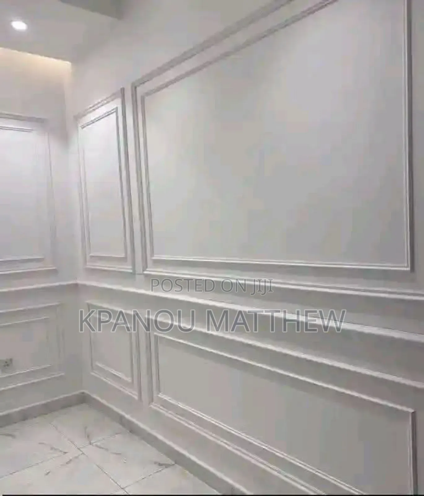 A Professional Painter