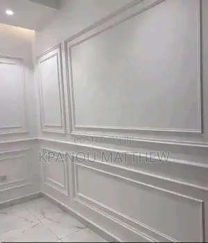 A Professional Painter