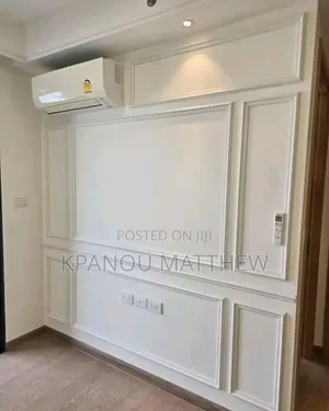 A Professional Painter