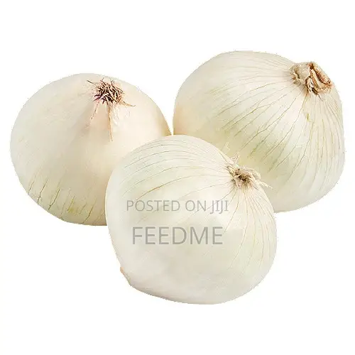 White Onion