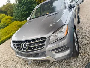 Mercedes-Benz M Class 2015 Silver
