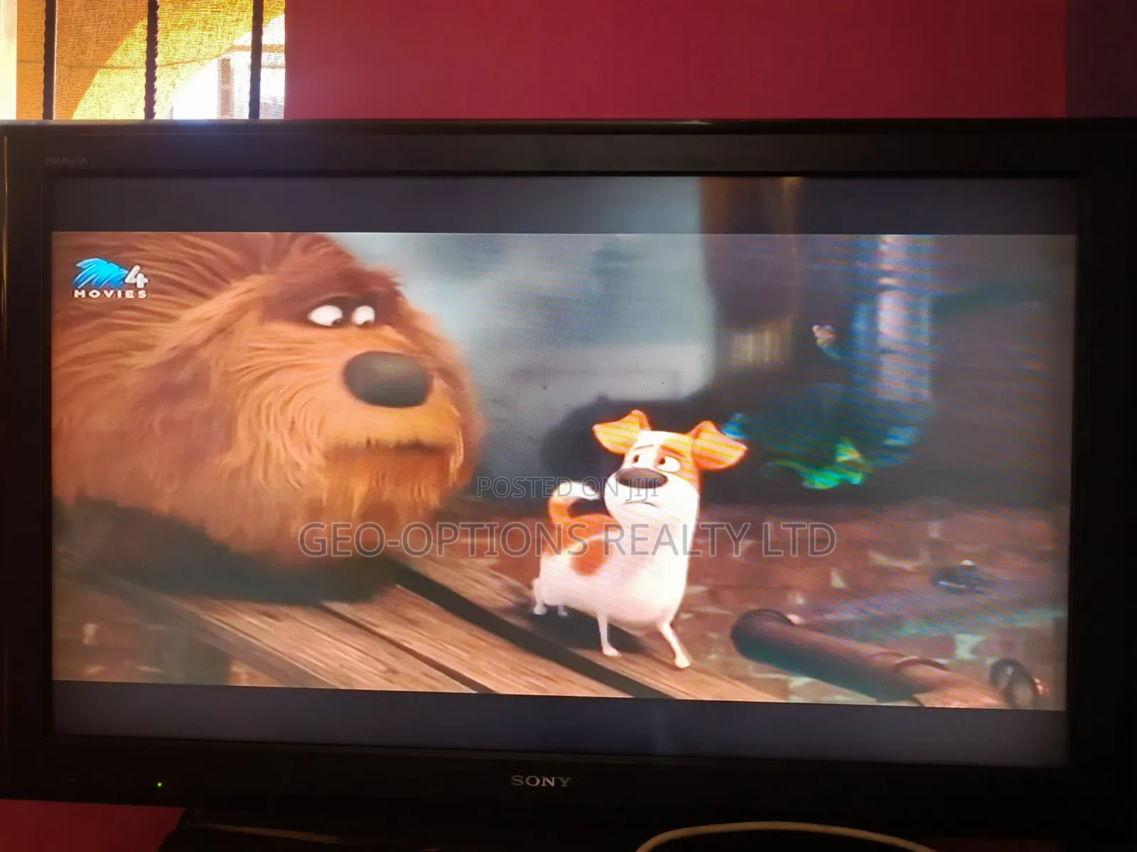 45 inches Sony TV