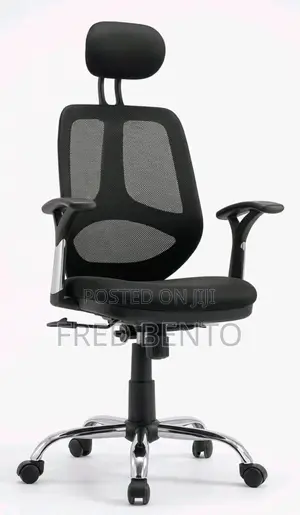 Ergonomics Office Net Chair