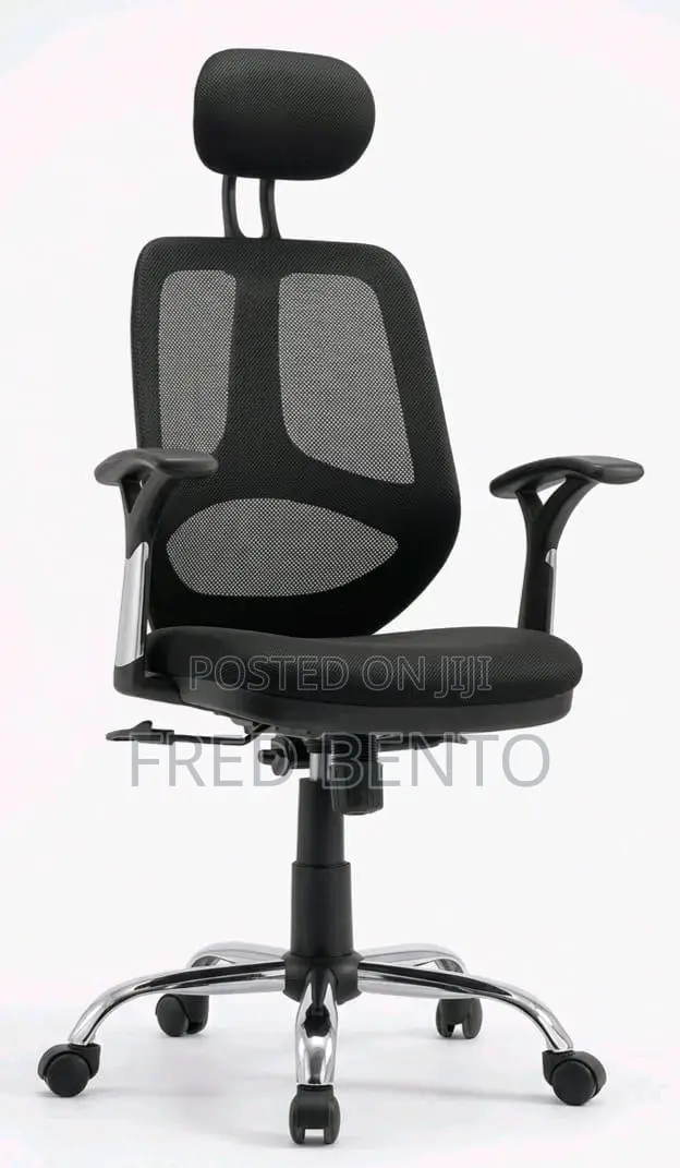 Ergonomics Office Net Chair