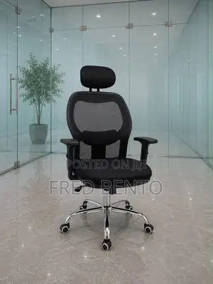 Ergonomics Office Net Chair