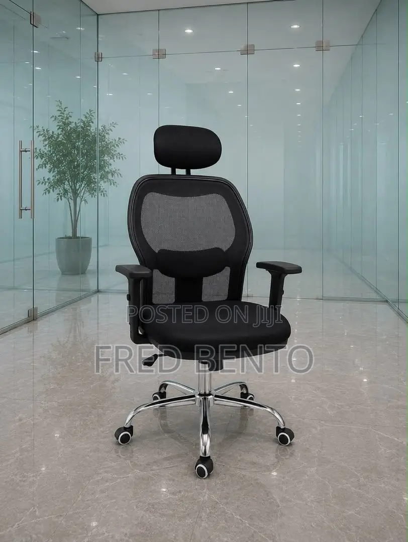 Ergonomics Office Net Chair