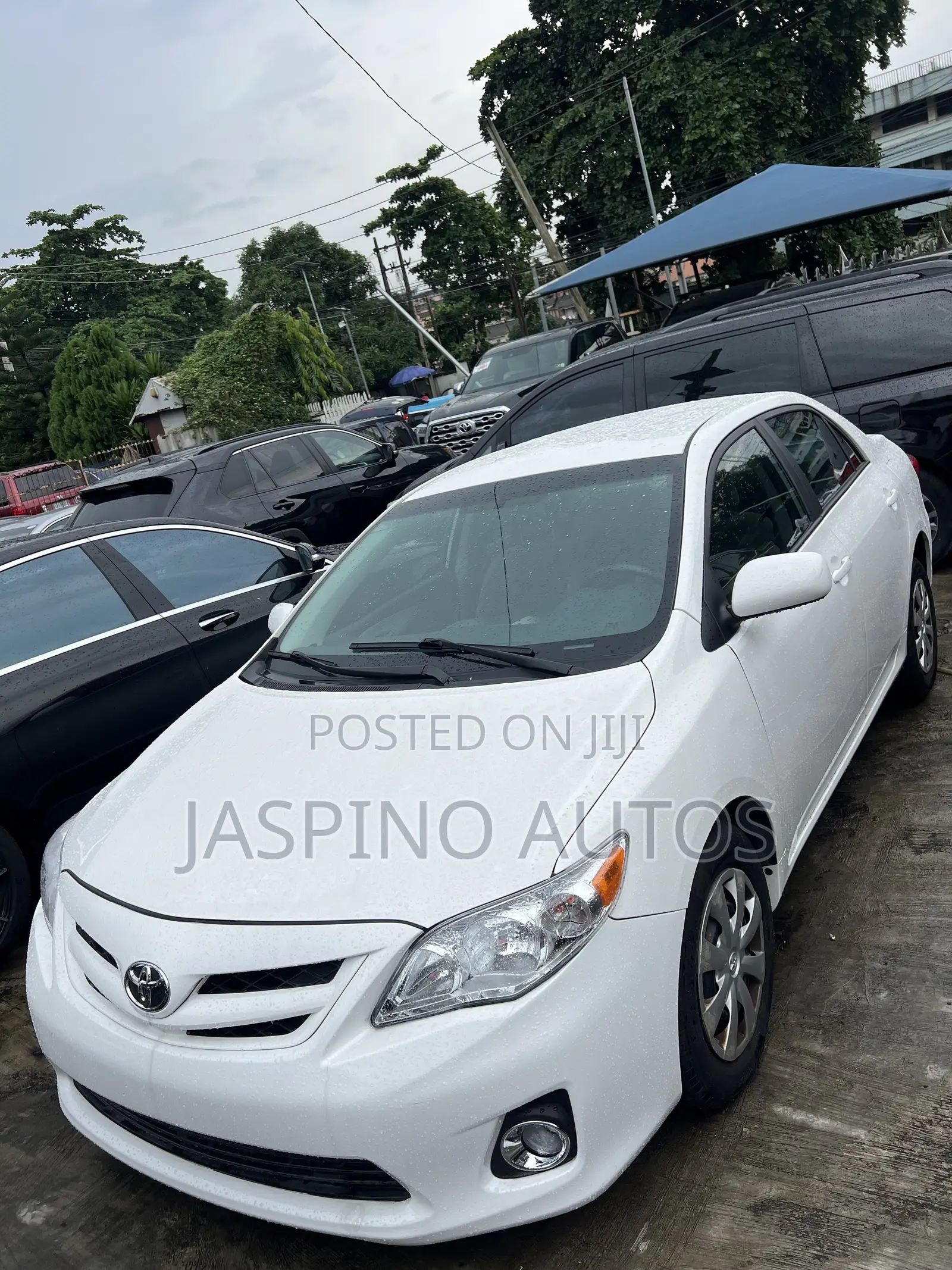 Toyota Corolla 2011 White