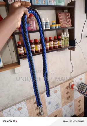Jumbo Chain and Collar, Dog Leash