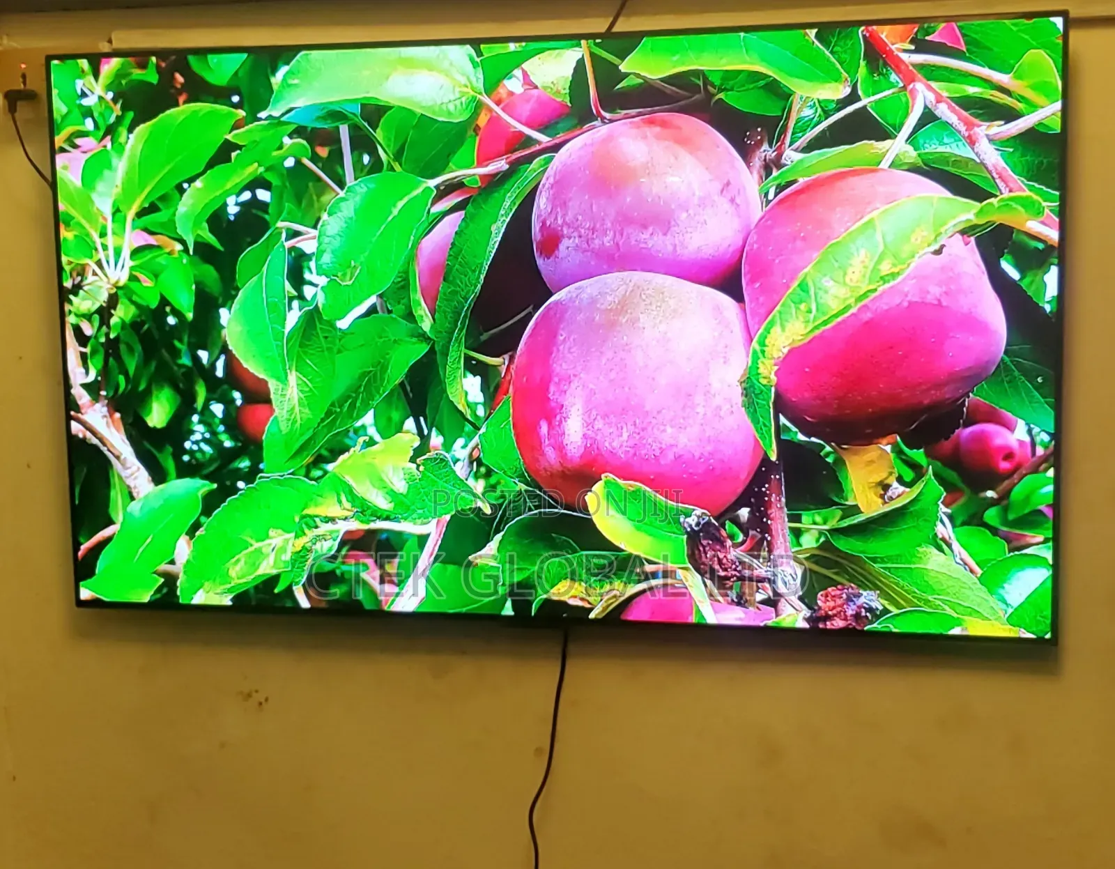 Oled Smart Tv 55" 2024 Model