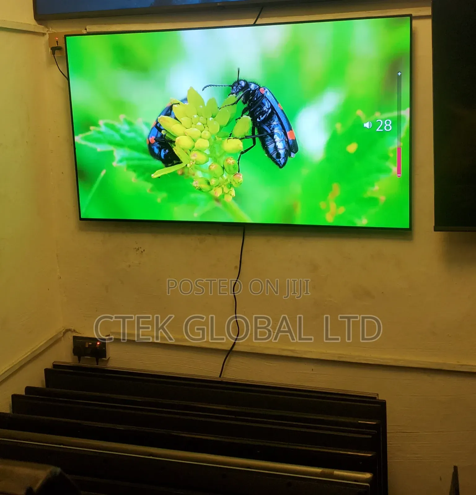 Oled Smart Tv 55" 2024 Model