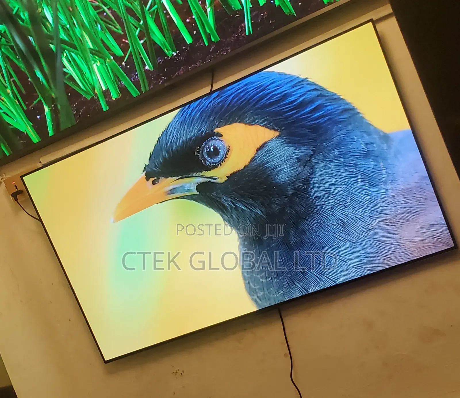 Oled Smart Tv 55" 2024 Model