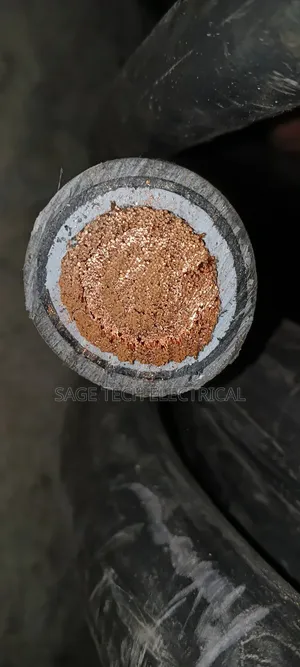 Flexible Cable 500mm Single Core PVC PVC Armoured Cable TRS