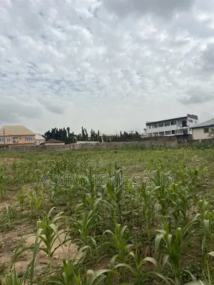Well Location Land for Sale Abacha Road Karu