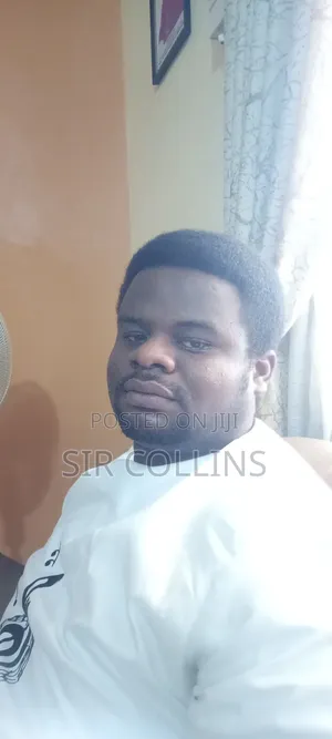 Job Application for Collins Chukwumaijem.