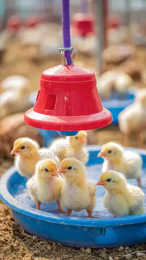 Automatic Hanging Bell Drinker 10l With Pipe Rope
