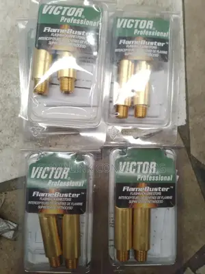 Flash Back Arrestor