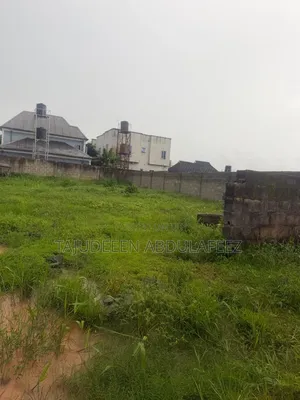 A Full Plot of Land