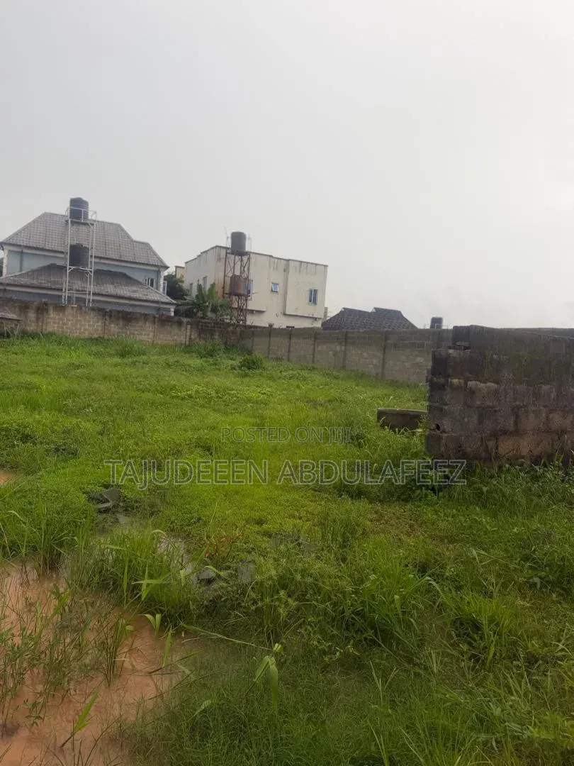 A Full Plot of Land
