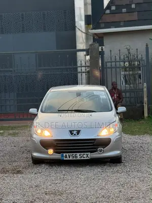 Peugeot 307 2007 Silver