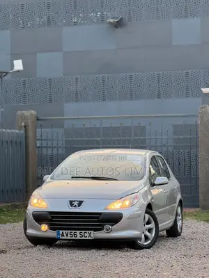 Peugeot 307 2007 Silver