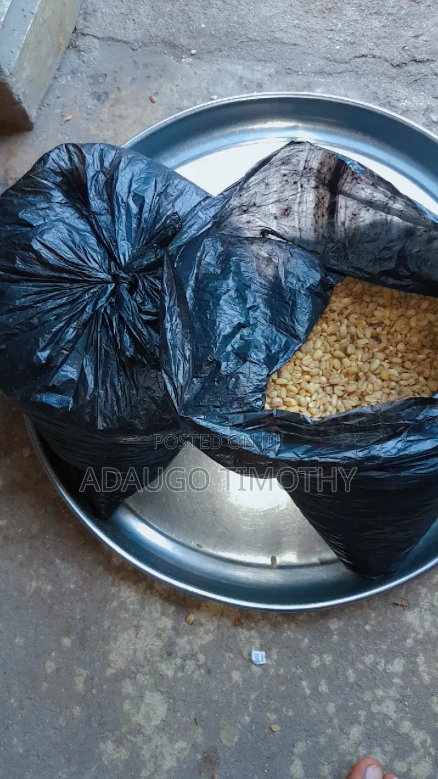 Ukwa ( Breadfruit)