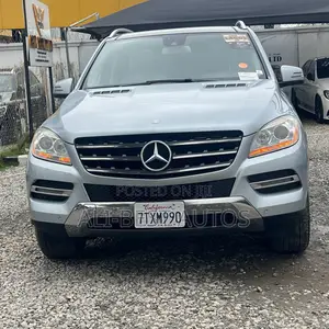Mercedes-Benz M Class 2014 Blue
