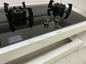 Fast, Efficient Cooking With Polystar Pv 2 Burner