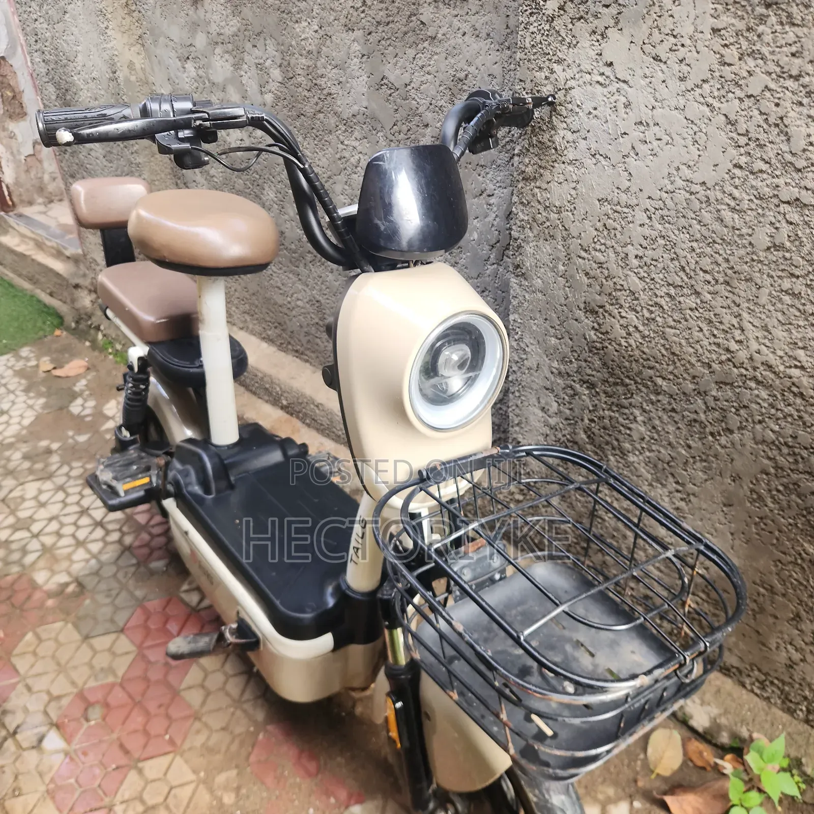 Tailg 2023 Beige