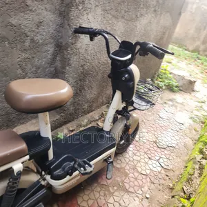 Tailg 2023 Beige