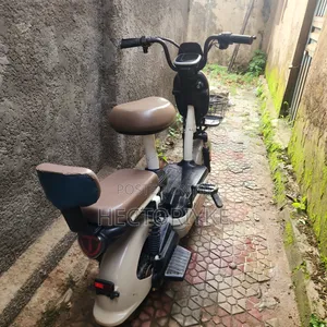 Tailg 2023 Beige