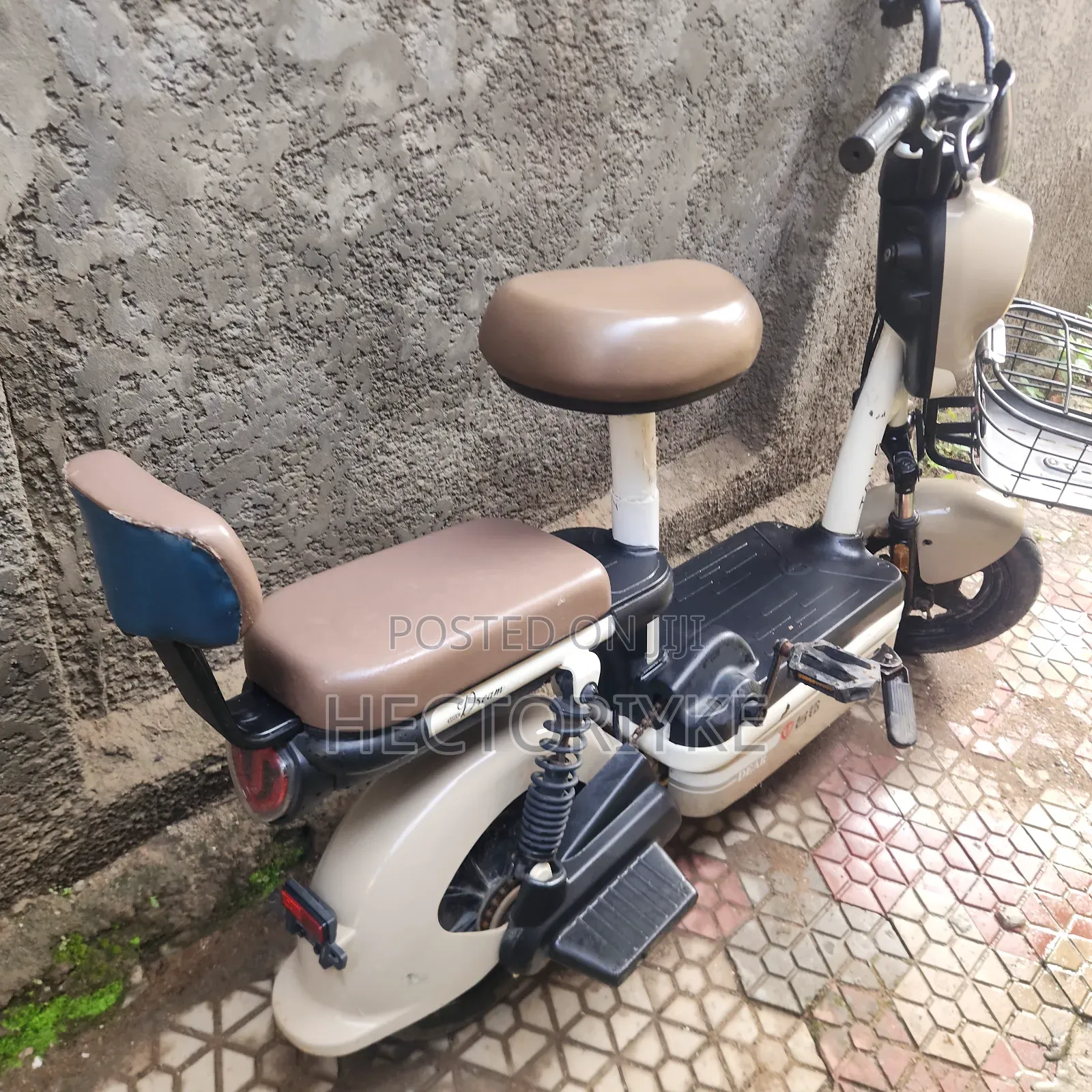 Tailg 2023 Beige